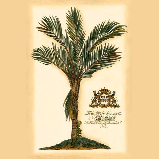 British Colonial Palm IV by Vision Studio