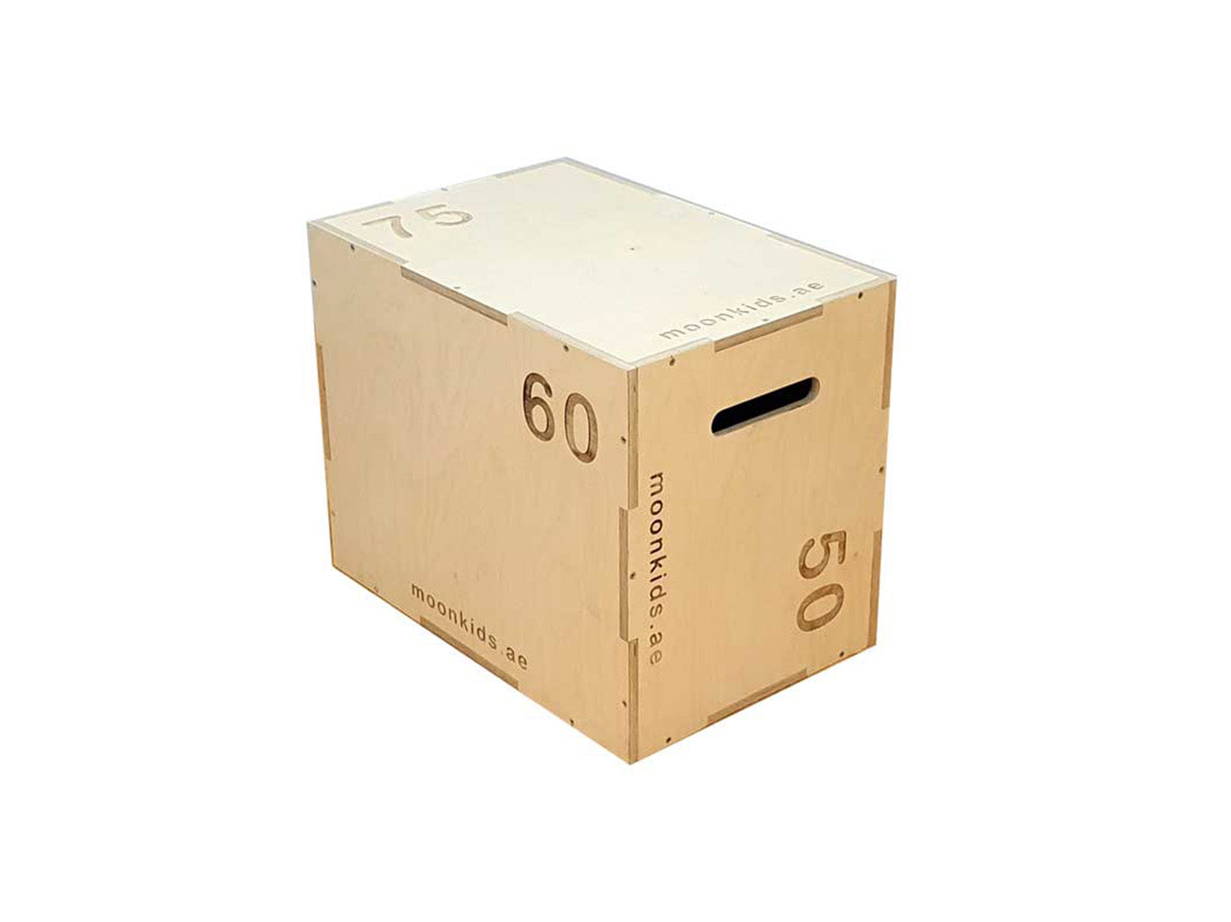 OUTCF6 - PLYOMETRIC BOX (1)