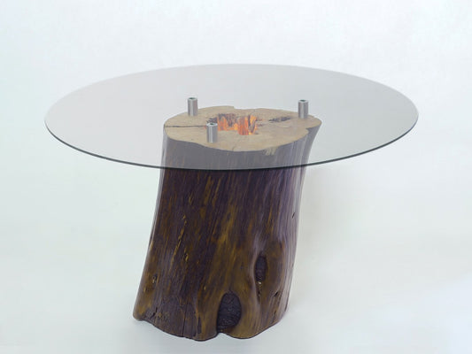 Natural Tree Branch Table